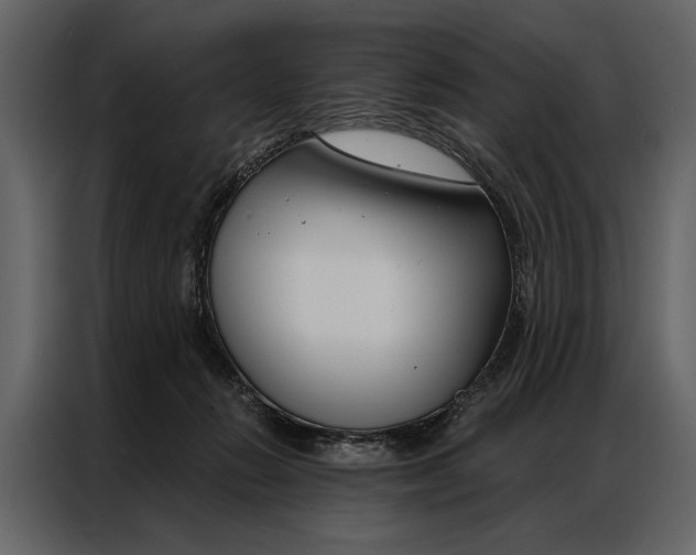 X0000087000270200705071512