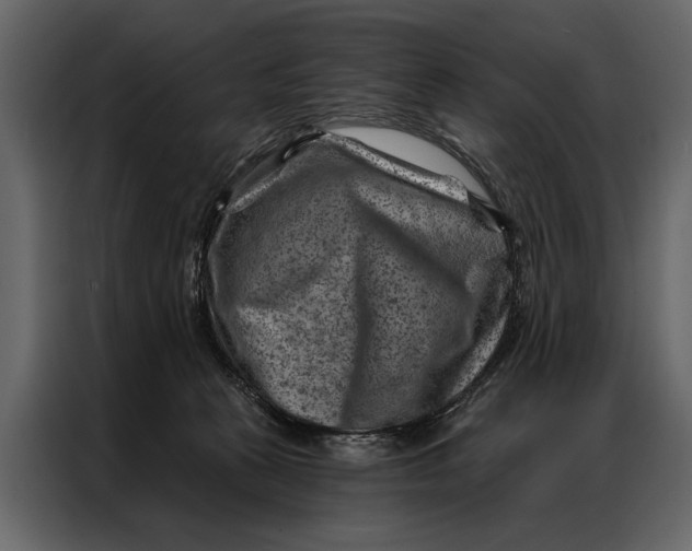 X0000087000273200705071512