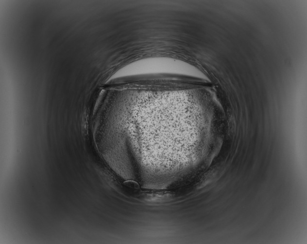 X0000087000274200705071512