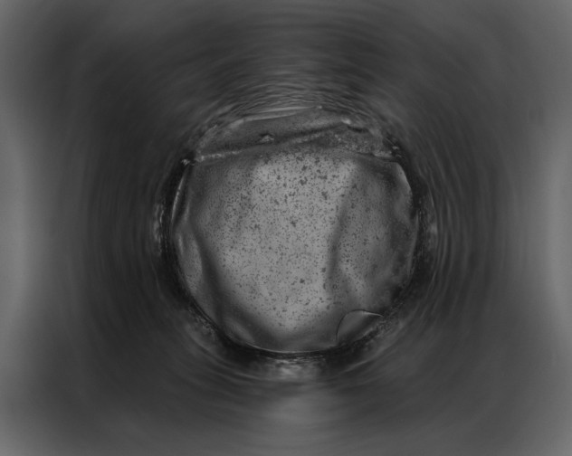 X0000087000275200705071512