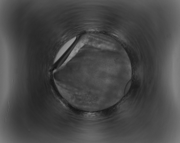 X0000087000277200705071512