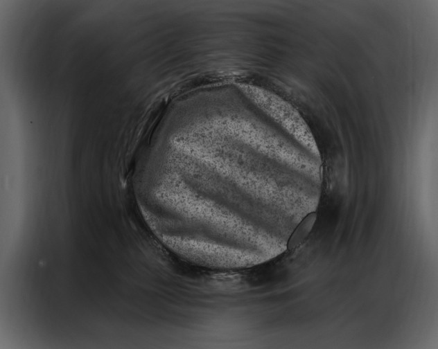 X0000087000279200705071512