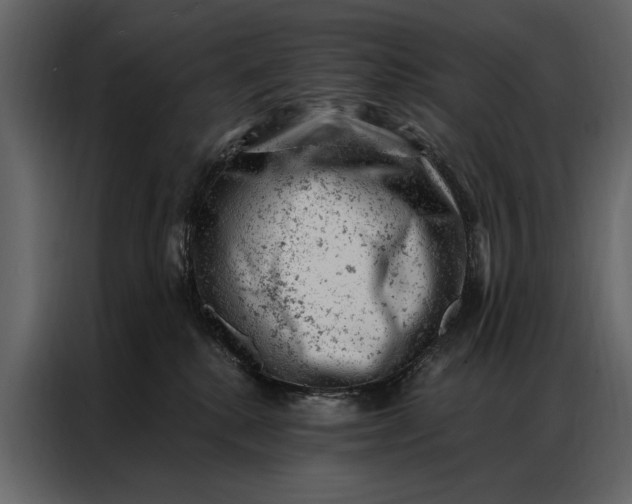 X0000087000280200705071512