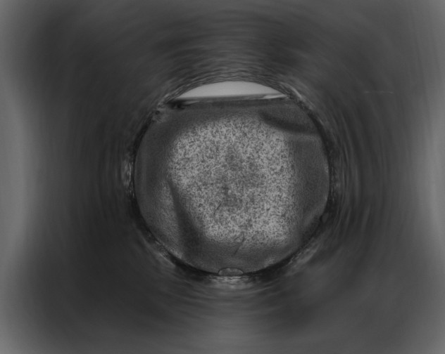 X0000087000281200705071512