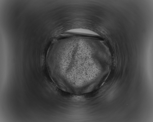 X0000087000283200705071512