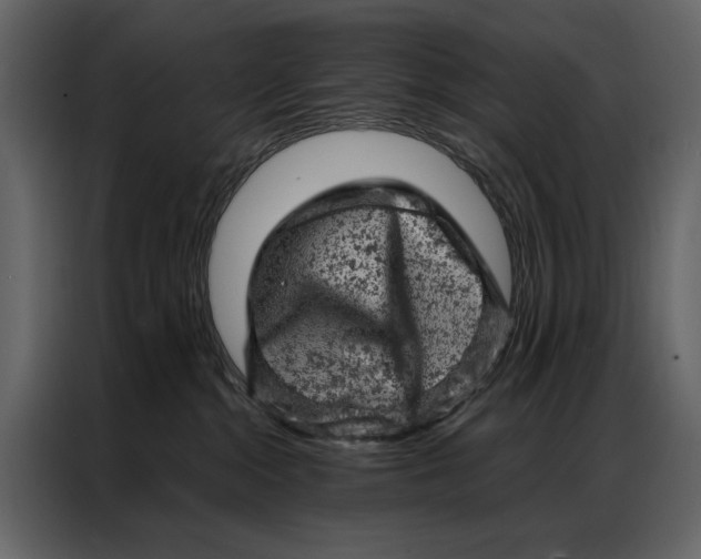 X0000087000284200705071512