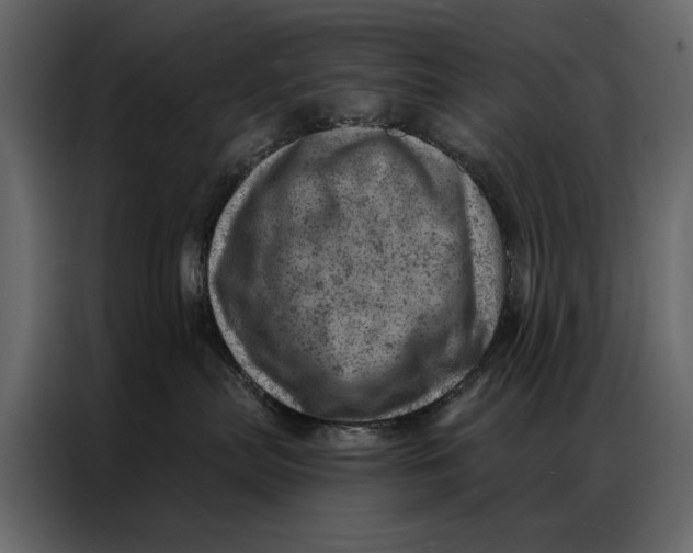 X0000087000287200705071512