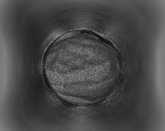 X0000087000290200705071511