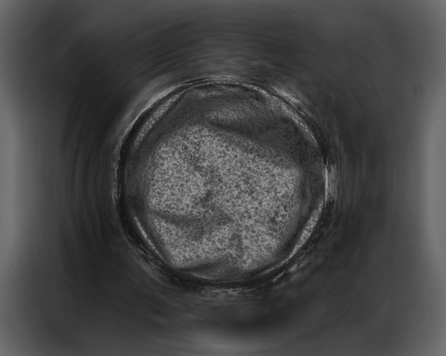 X0000087000291200705071511