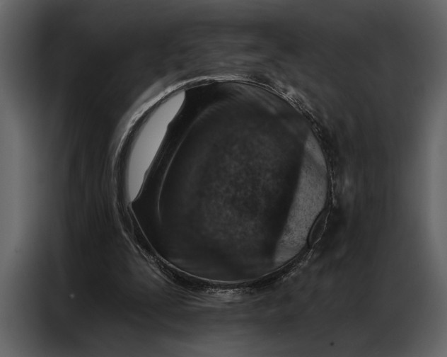 X0000087000295200705071511