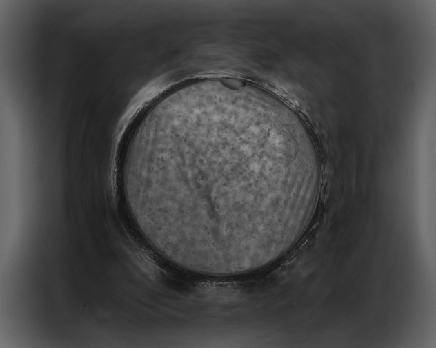 X0000087000296200705071511