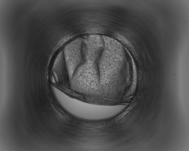 X0000087000298200705071511