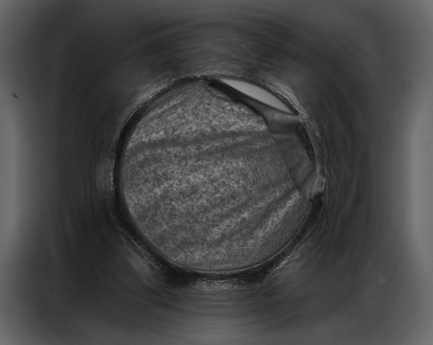 X0000087000299200705071511