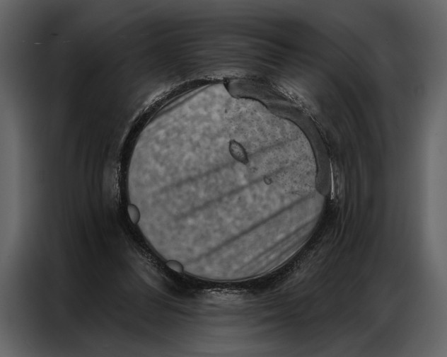 X0000087000300200705071511