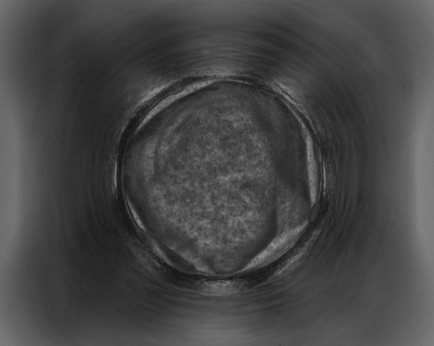 X0000087000301200705071511