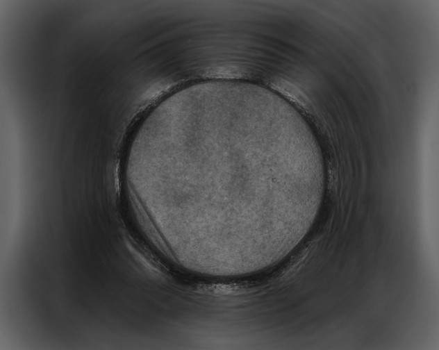 X0000087000302200705071511