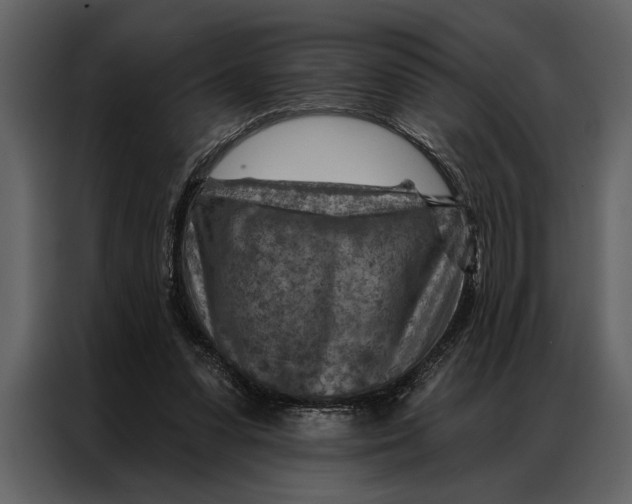 X0000087000303200705071511