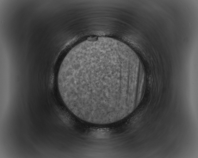 X0000087000304200705071511