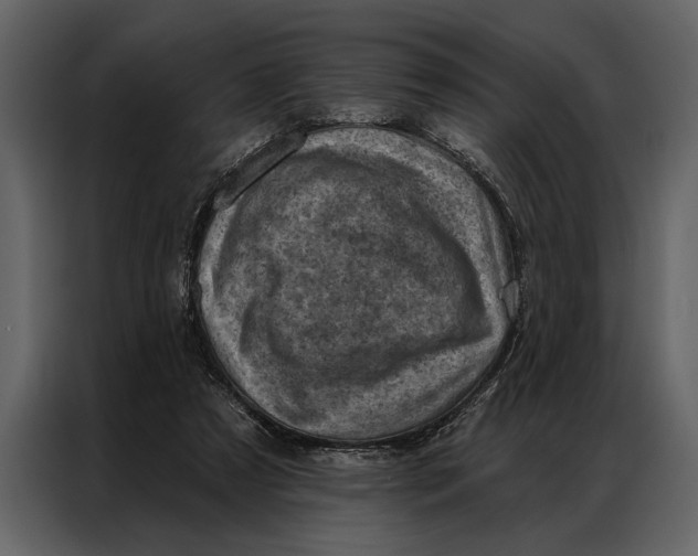 X0000087000305200705071511