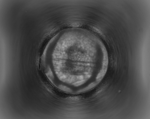 X0000087000307200705071511