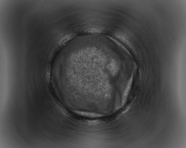 X0000087000309200705071511