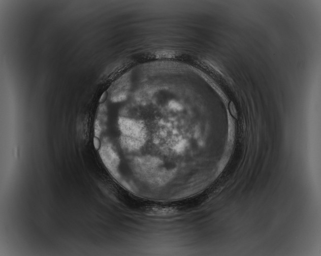 X0000087000311200705071511