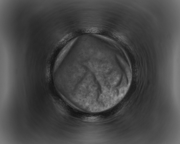 X0000087000312200705071511