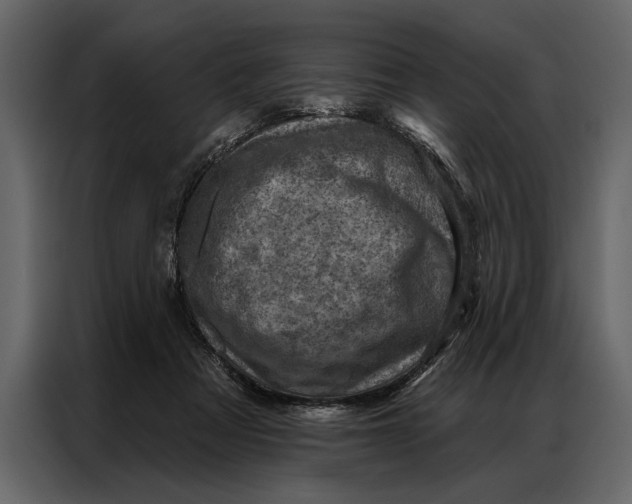 X0000087000313200705071511