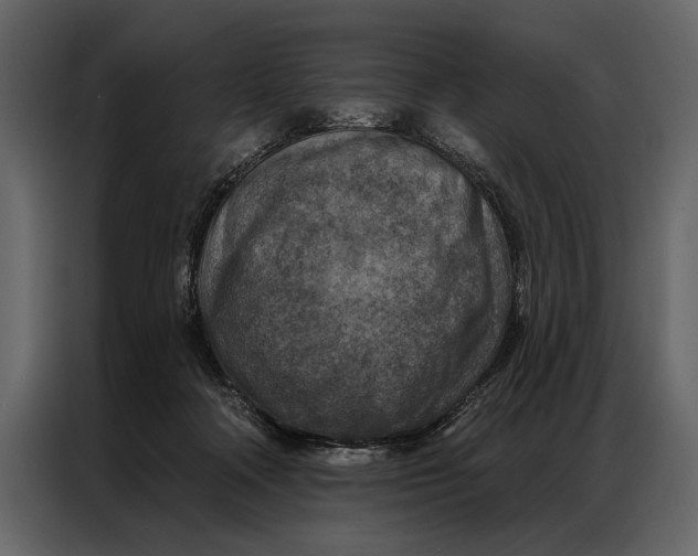 X0000087000314200705071511