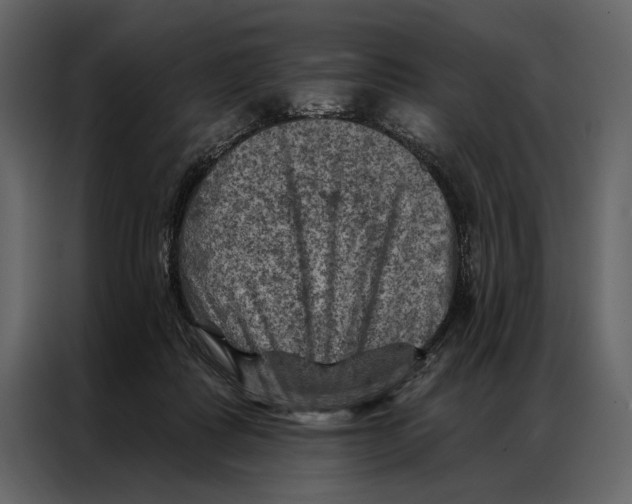 X0000087000315200705071511