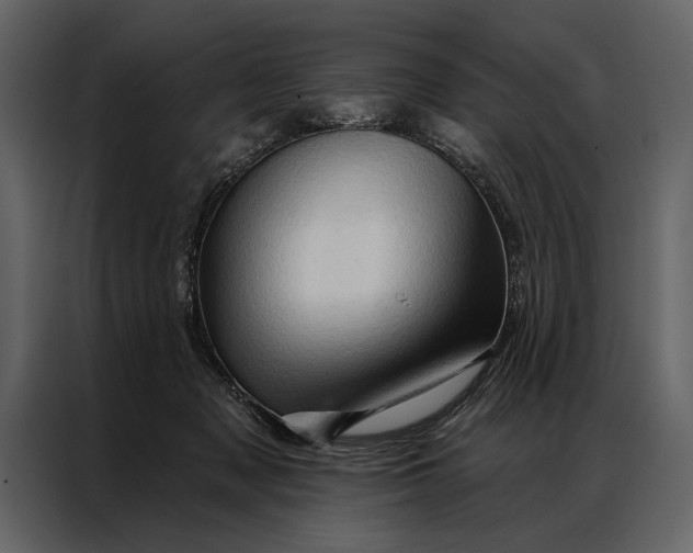 X0000087000317200705071511