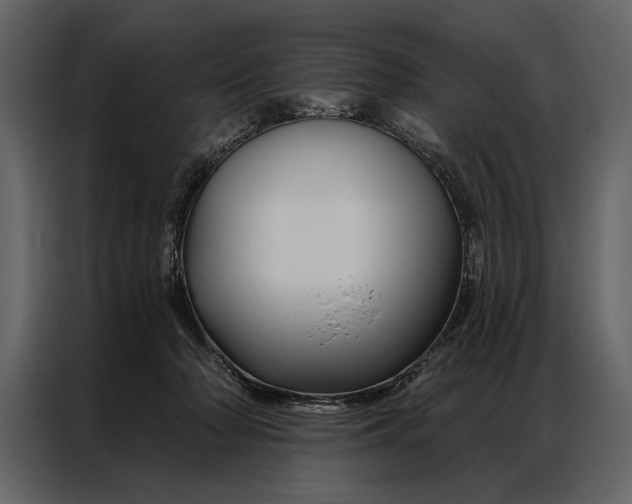 X0000087000318200705071511