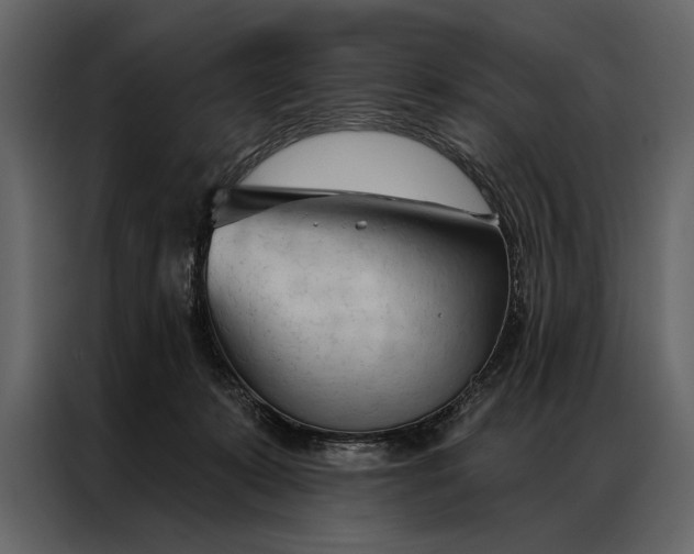 X0000087000319200705071511