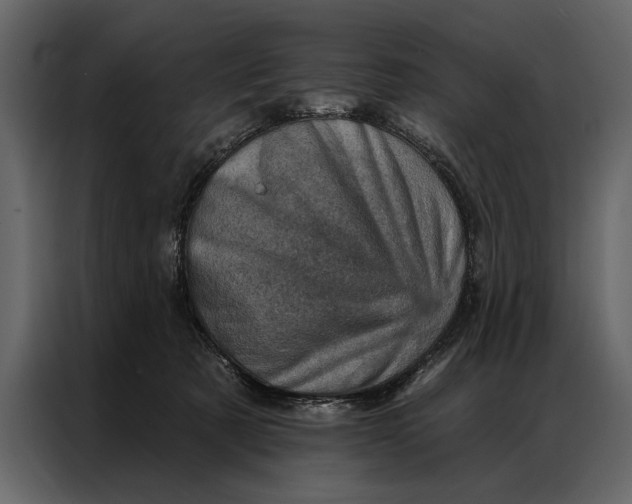 X0000087000321200705071511