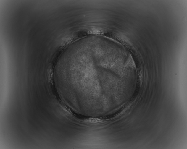 X0000087000322200705071511