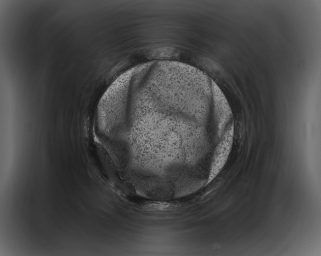 X0000087000326200705071511