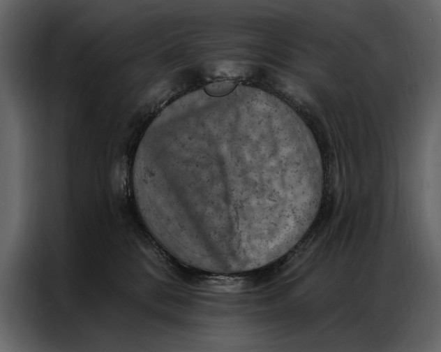 X0000087000328200705071511