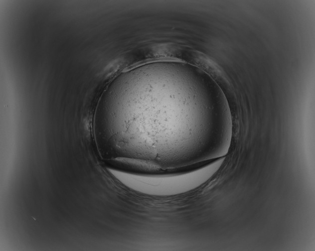 X0000087000329200705071511