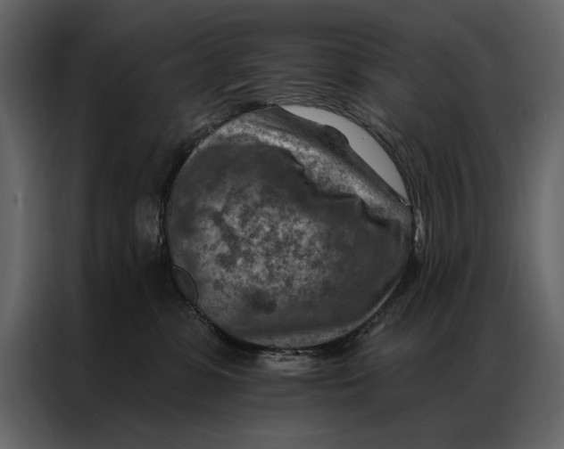 X0000087000331200705071511