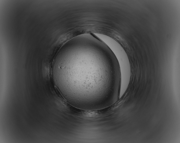 X0000087000333200705071511