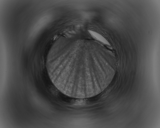 X0000087000335200705071511