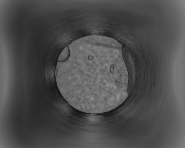 X0000087000336200705071511