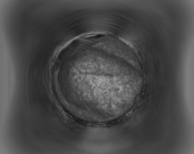 X0000087000337200705071510