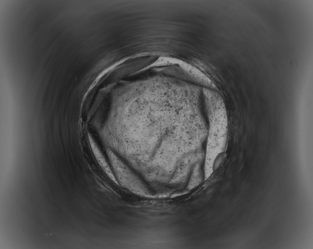 X0000087000338200705071510