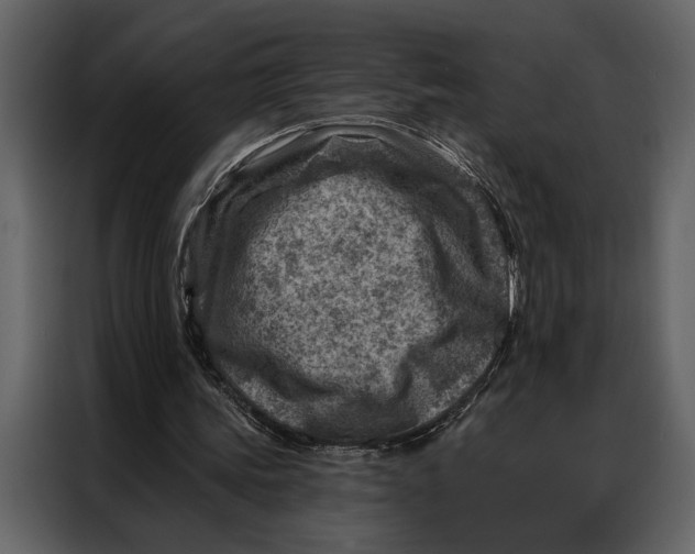 X0000087000339200705071510