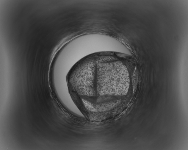 X0000087000340200705071510