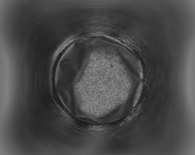 X0000087000341200705071510