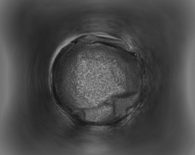 X0000087000342200705071510