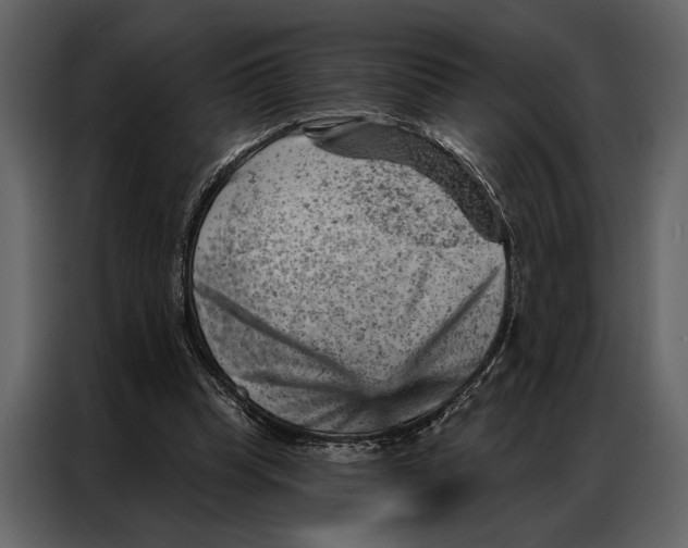 X0000087000345200705071510