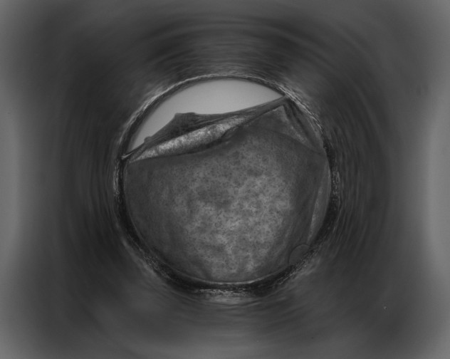 X0000087000347200705071510